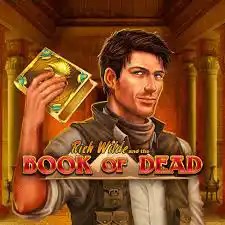 Book of Dead by Play'n GO, showcased at towercasino.win – game logo